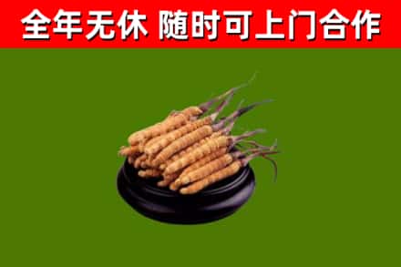 鹤庆烟酒回收冬虫夏草.jpg